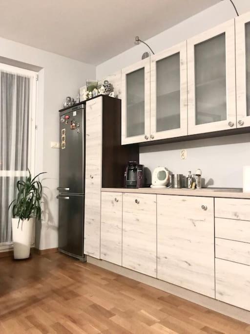 Apartment Nad Rzeka Przy Parku Zamkowym