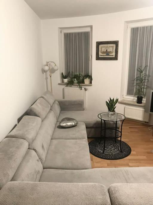 Nad Rzeka Przy Parku Zamkowym Apartment *