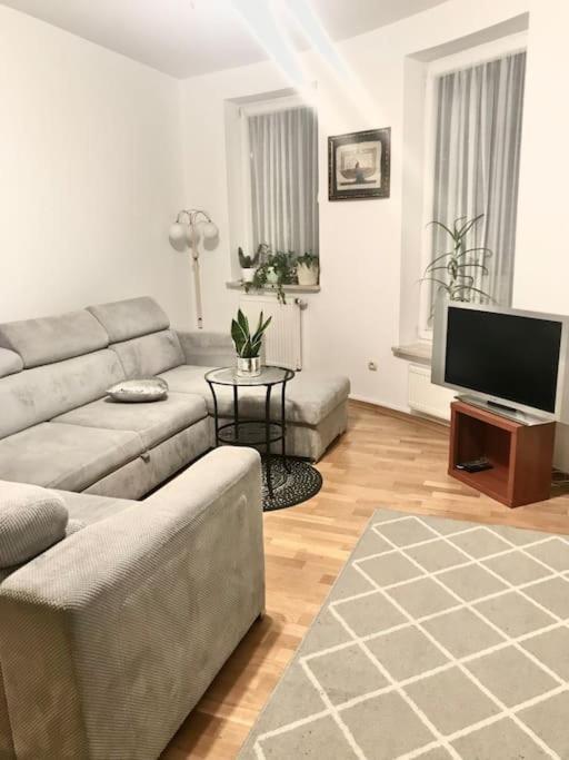 Nad Rzeka Przy Parku Zamkowym Apartment