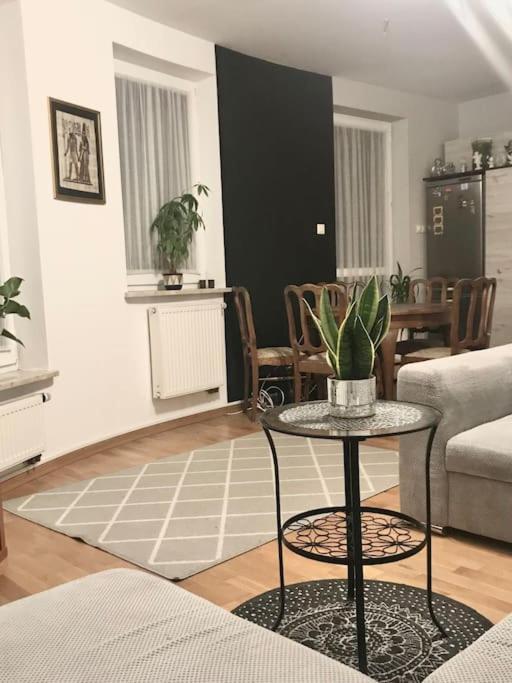 Apartment Nad Rzeka Przy Parku Zamkowym